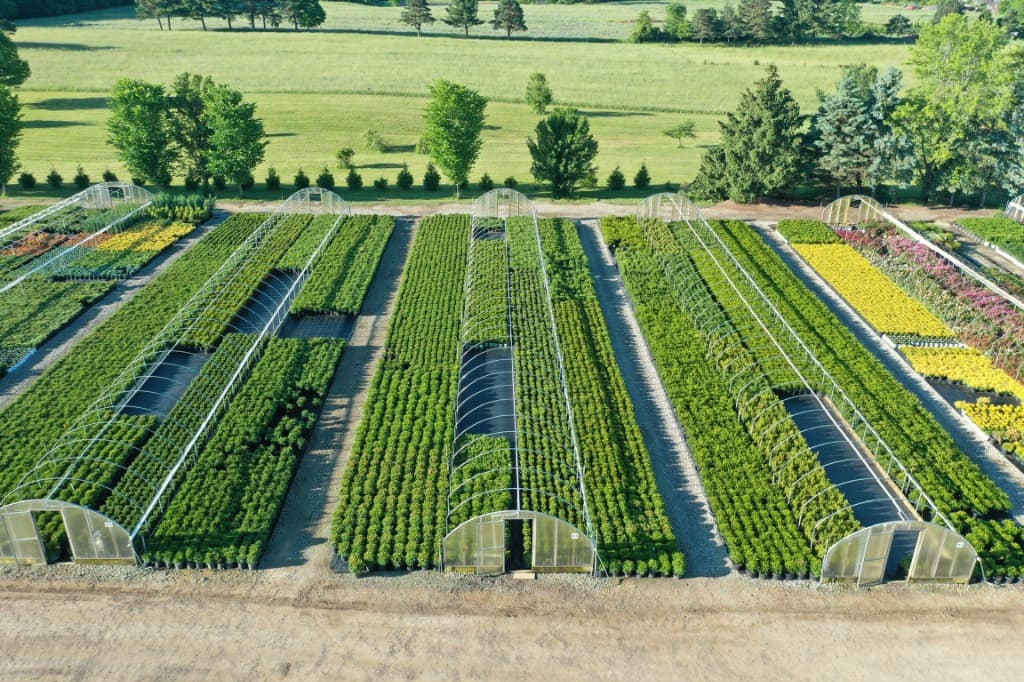 Cold Storage Hoop Houses